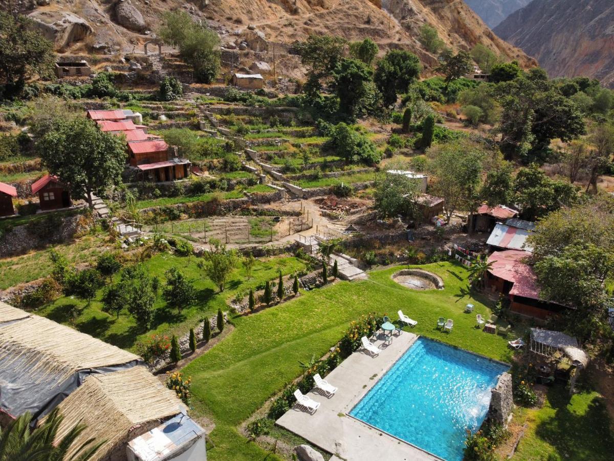 Oasis Paraiso Ecolodge Cabanaconde Exterior foto