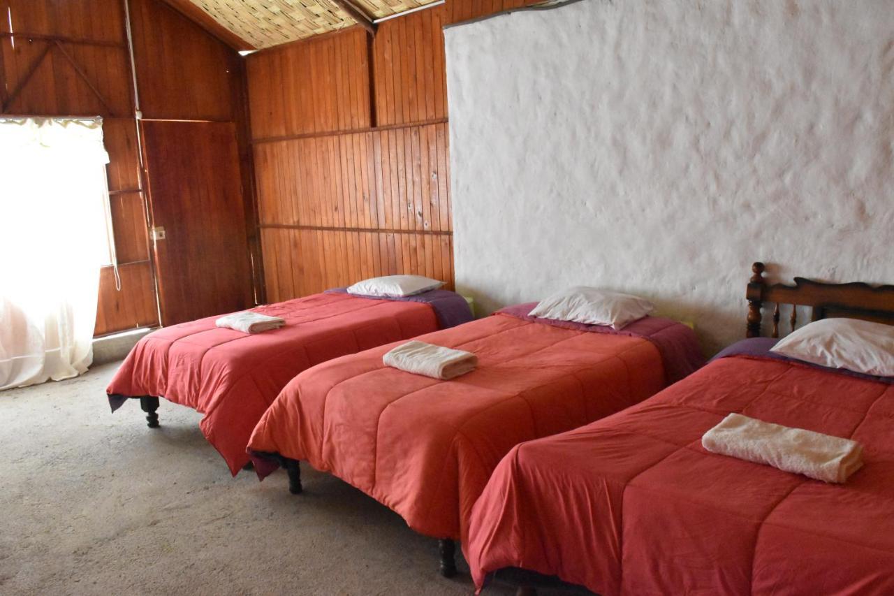 Oasis Paraiso Ecolodge Cabanaconde Exterior foto